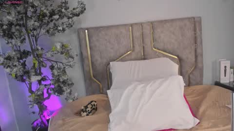 haileystonei online show from 12.16.25