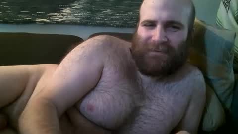Hairiest Bear online show from 12.14.24
