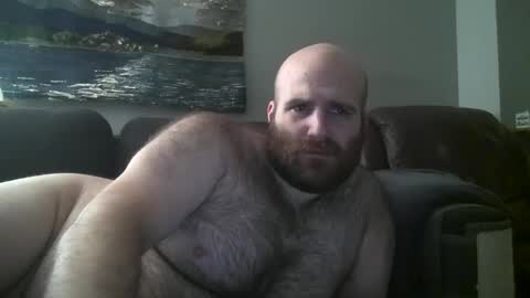 Hairiest Bear online show from 01.30.25