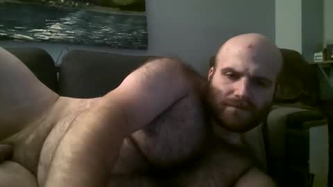Hairiest Bear online show from 03.02.25