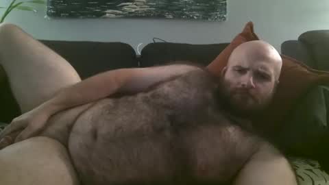 Hairiest Bear online show from 10.07.25