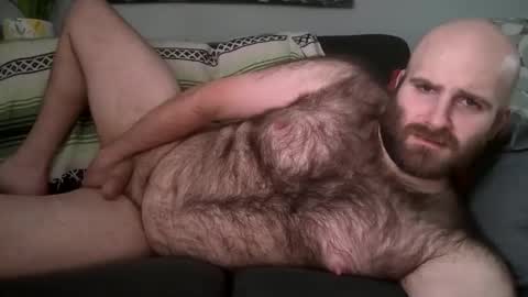 Hairiest Bear online show from 02.06.26
