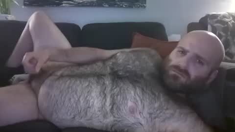 Hairiest Bear online show from 05.28.26