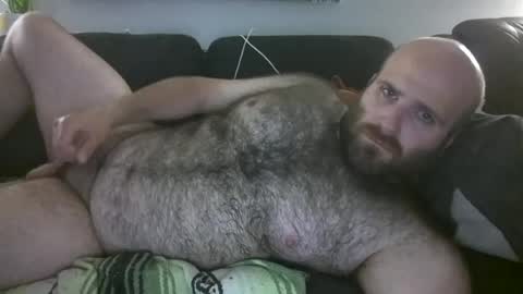 Hairiest Bear online show from 06.04.26