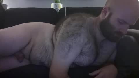 Hairiest Bear online show from 07.08.26