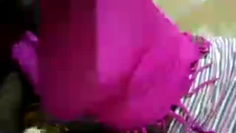 hairy_africanbae online show from 07.12.26