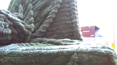 HairyHornyTwinkk online show from 11.14.25