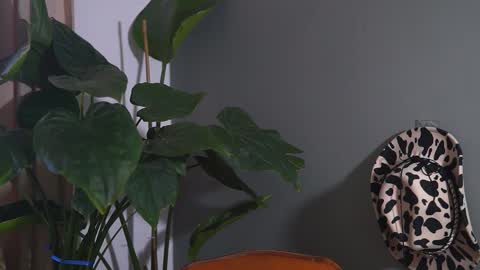 Snapshot of hairyrobxxx chatting on 09.20.25 HairyRobXxX online show from 09.20.25