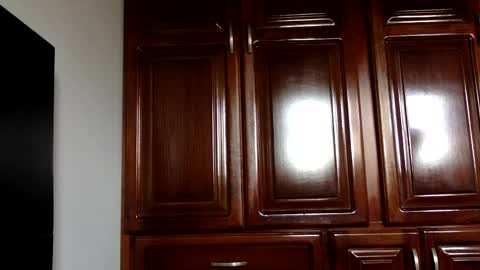 NN420 online show from 01.04.25