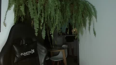 Snapshot of halan_jr chatting on 02.26.25 halan online show from 02.26.25