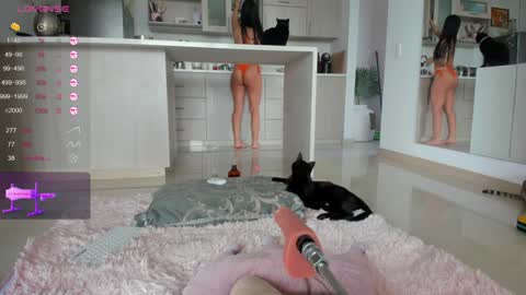 insta Laupalacio777Next stream 01th December online show from 12.14.24