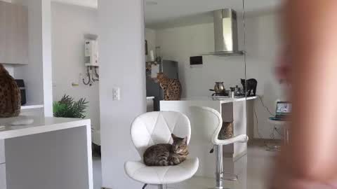 insta Laupalacio777Next stream 01th December online show from 02.23.25