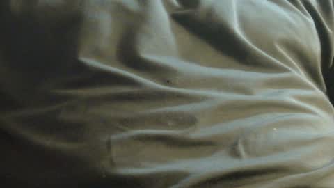 Snapshot of hamhead71 chatting on 12.08.24 hamhead71 online show from 12.08.24