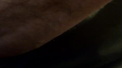 Snapshot of hamhead71 chatting on 01.14.25 hamhead71 online show from 01.14.25