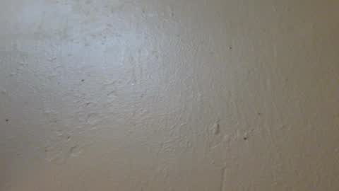 Snapshot of hamhead71 chatting on 01.27.25 hamhead71 online show from 01.27.25