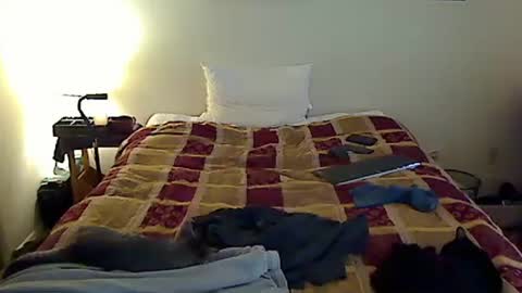 Snapshot of hammerthatthang73 chatting on 11.06.25 hammerthatthang73 online show from 11.06.25