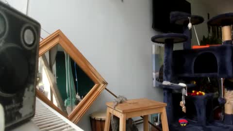 handncocknocum online show from 02.25.25