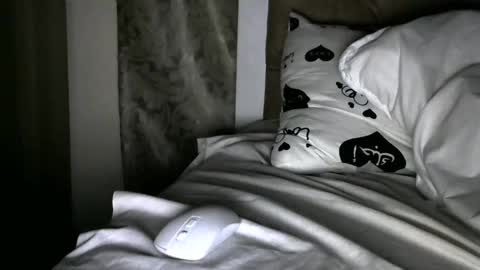 handsome king online show from 12.30.24