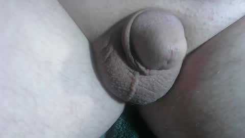 Handyman online show from 01.10.26