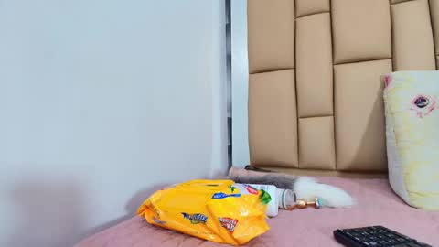 Snapshot of hannah_teehn chatting on 11.29.25 hannah_teehn online show from 11.29.25