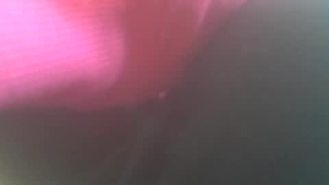 hannes_k online show from 12.26.24