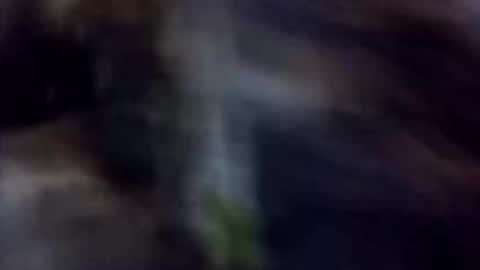 happydick69a online show from 10.02.25