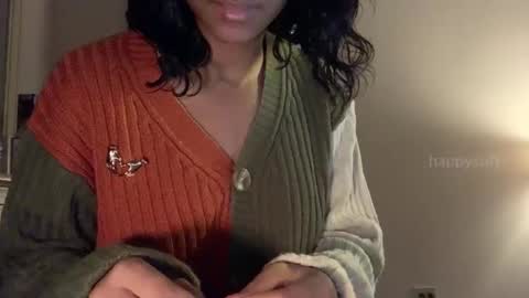 Snapshot of happysoft chatting on 01.01.25 meatwad online show from 01.01.25