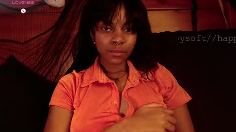 Snapshot of happysoft chatting on 02.28.25 meatwad online show from 02.28.25