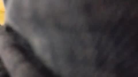 hardandhorny422 online show from 05.10.26