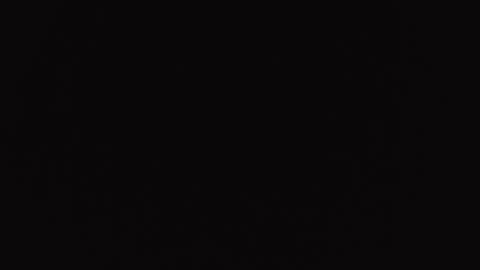 Snapshot of hardceltic4 chatting on 12.02.25 hardceltic4 online show from 12.02.25