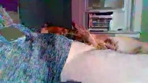 cervixpainter25 online show from 11.03.25