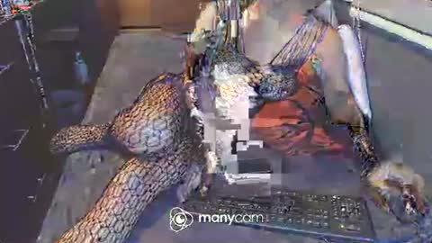 Irina online show from 03.03.25