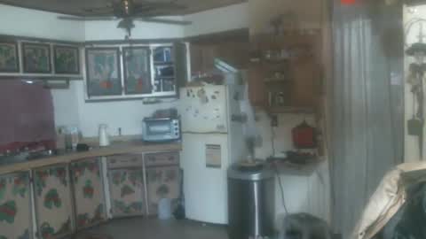 john nobles online show from 01.15.25