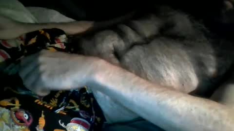 Snapshot of hardnick696 chatting on 02.13.25 hardnick696 online show from 02.13.25