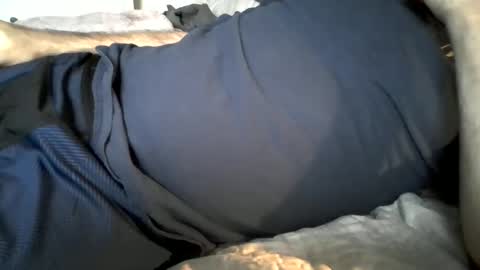 Snapshot of hardnick696 chatting on 02.19.25 hardnick696 online show from 02.19.25