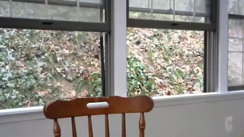 hardworkertn online show from 02.08.25