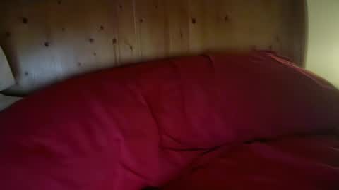 Snapshot of haroldhaller chatting on 01.13.26 Harry H online show from 01.13.26