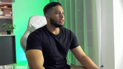 Harry Zandes online show from 02.20.25