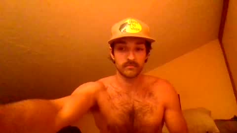 harrycheeks online show from 06.29.26
