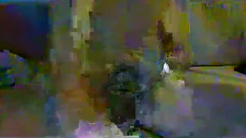 harryhavana online show from 02.11.25