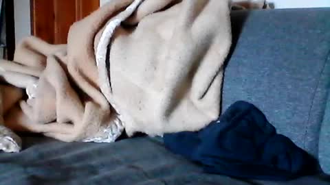 Snapshot of havier282874 chatting on 06.17.26 havier282874 online show from 06.17.26