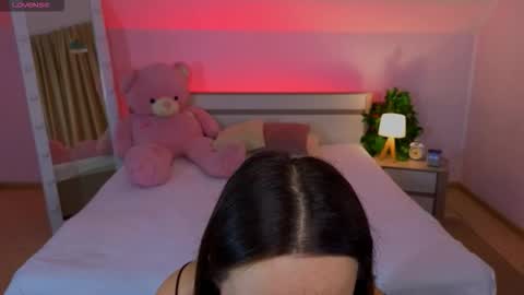 Hayle online show from 11.17.25