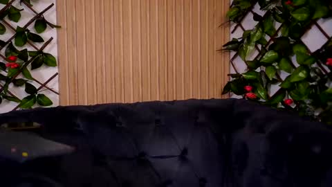 Snapshot of hayliemilf chatting on 12.22.24 Haylie online show from 12.22.24