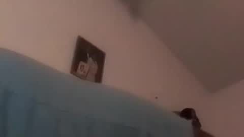 hbdj2164 online show from 12.17.24