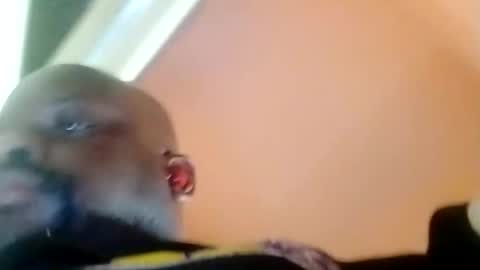 hbdj2164 online show from 02.23.25