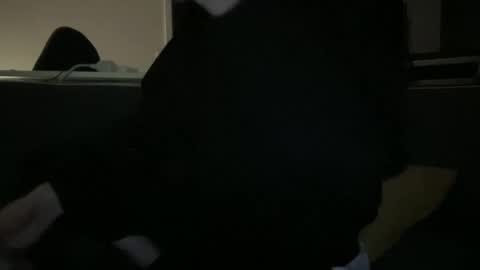 hchappel19 online show from 10.01.25