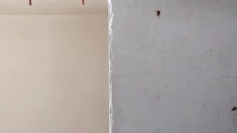 heaven_07 online show from 03.16.26