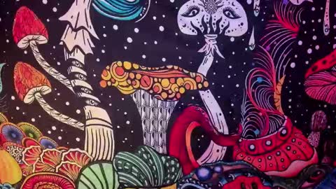   online show from 02.26.25