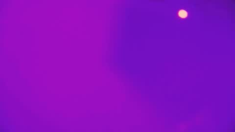 heidikendal online show from 02.26.26