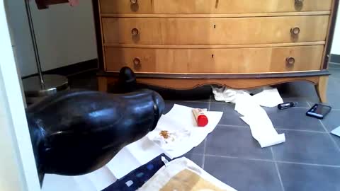 Snapshot of helisporty chatting on 11.14.25 helisporty online show from 11.14.25